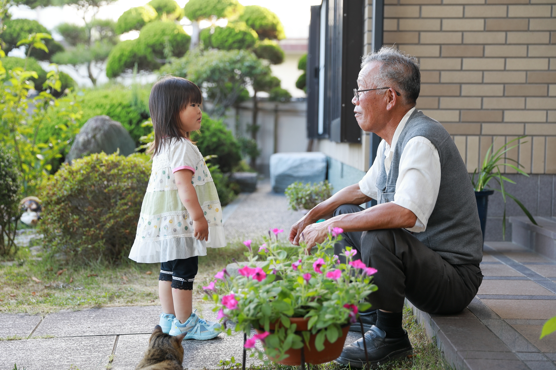 埼玉で平屋に住む！ 新築と中古のどっちにするべき？